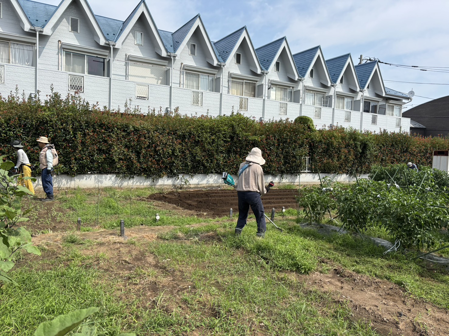 板橋区成増の畑で作業する様子